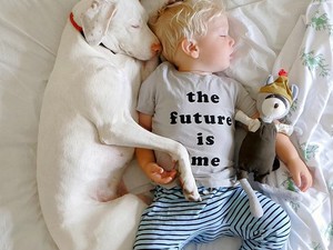 Az örökbefogadott kutyus legjobb barátja ez a kisbaba lett! Csak tőle nem fél!