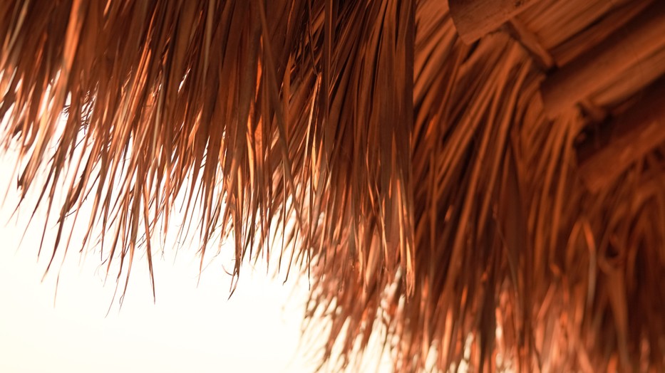 80 millió állás szűnhet meg globálisan 2030-ig a fokozódó hőstressz miatt