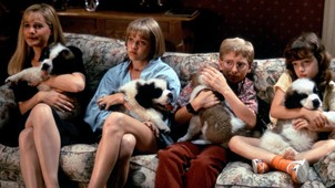 A pszichológus is megerősítette: így hat a mentális egészségedre a  kisállatod