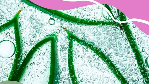 Az aloe vera 8 előnye, amiért érdemes a szépségápolási rutinodba beillesztened