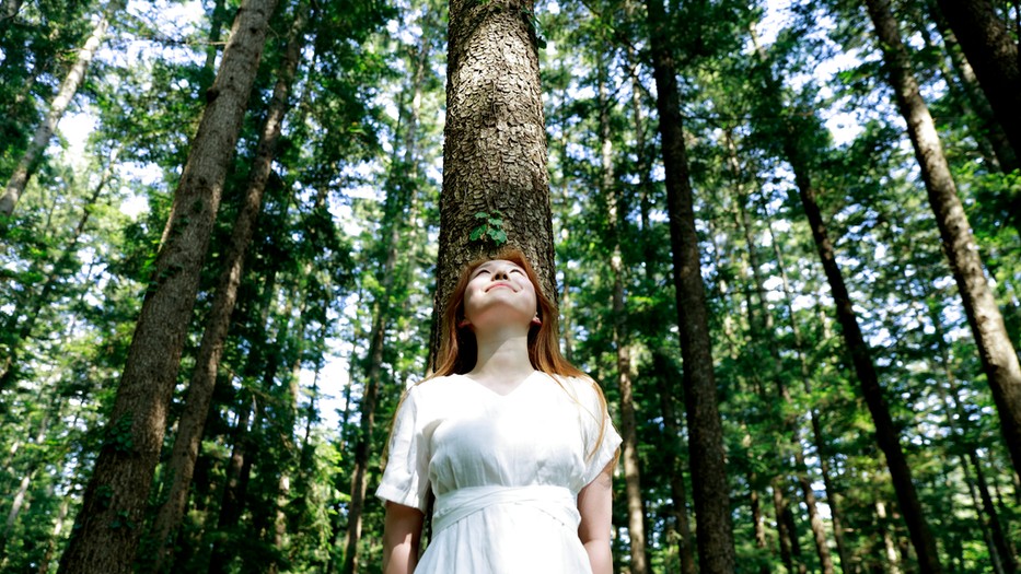 A természet lágy ölén: TOP 3 hazai arborétum, ahová el kell látogatnod idén nyáron!