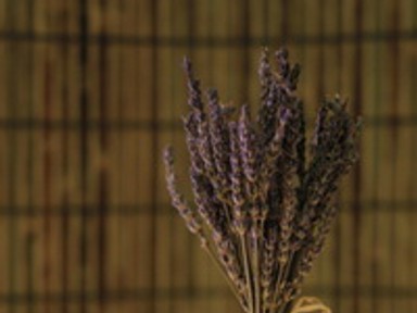 5 illatos tipp - Aromaterápia otthon