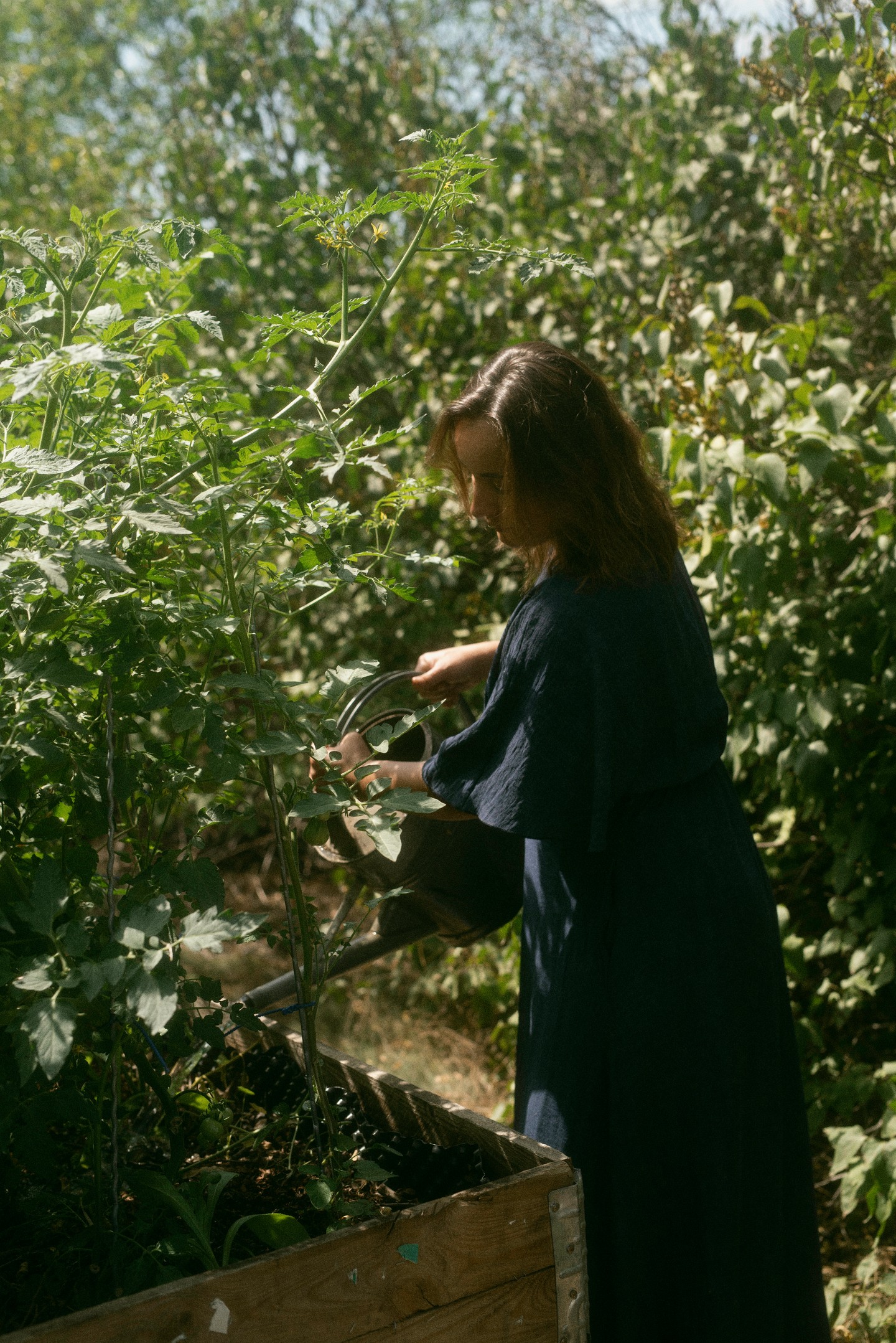 Timi a növényeket öntözi. Mindennapos feladat ez, mert kevés eső esik, és a földnek szüksége van az éltető vízre