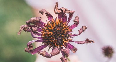 Meddig képes Európa alkalmazkodni a klímaváltozáshoz?