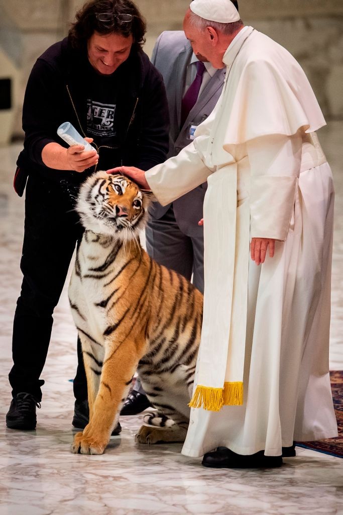 „Szívünk csak egy van, és ugyanaz a nyomorultság, amely rávesz egy állat bántalmazására, hamarosan megmutatkozik az emberekkel való kapcsolatainkban is. Bármely teremtménnyel szembeni bármilyen kegyetlenség ellenkezik az emberi méltósággal.” – Ez a gondolat mély empátiára tanít: Ferenc pápa arra hívja fel a figyelmünket, hogy az együttérzés nem választható meg, vagy mindenkire kiterjed, vagy senkire sem. Az állatokkal szembeni tisztelet és szeretet nemcsak erkölcsi kötelesség, hanem azt is tükrözi, hogyan bánunk egymással, mi emberek.