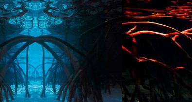 Egzotikus álom és utazás a Galla új kollekciójában