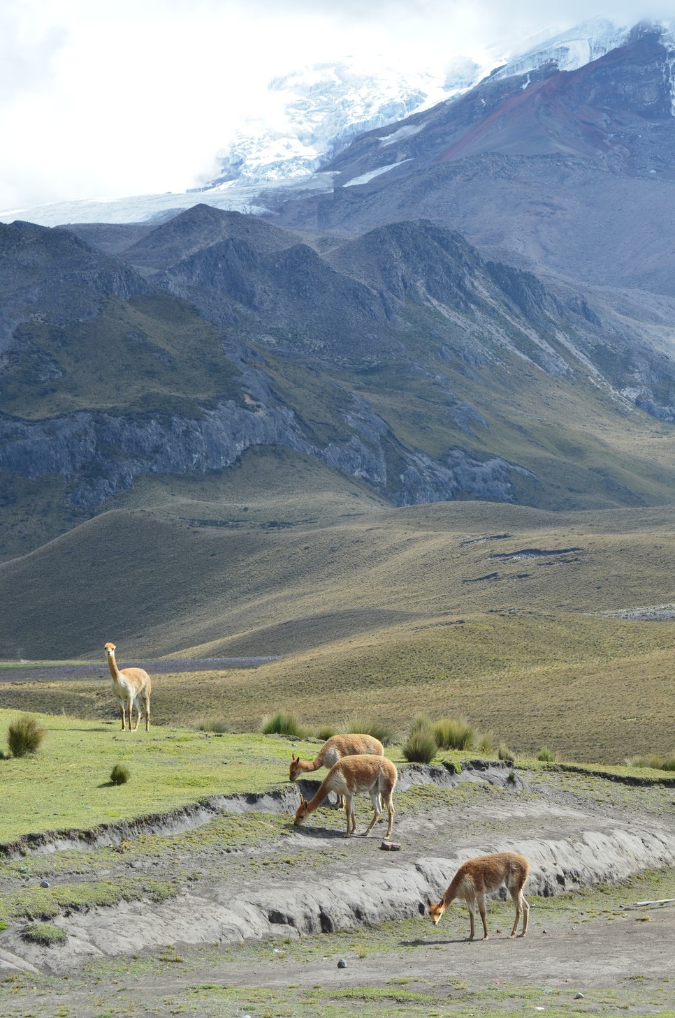 Átlagos munkanap Barta Barbara "irodájában"