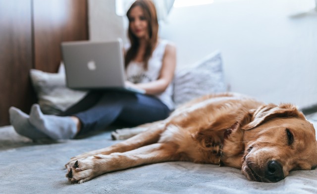 Home office: Tedd! & Ne tedd! - hogyan legyél hatékony, ha otthon kell dolgoznod?