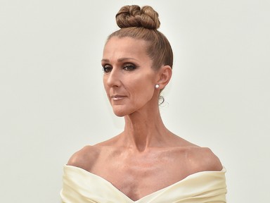 Céline Dion szívszorító fotója láttán képtelenség visszatartani a sírást: fájdalmasan gyönyörű pillanatot osztott meg az énekesnő