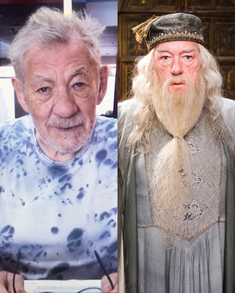  Albus Dumbledore szerepe ikonikus, nehéz elképzelni, de többen is visszautasították. Igaz, Sir Ian McKellen csak azért, mert felkérték ugyan, hogy szerepeljen a Harry Potter-sorozatban, de nem árulták el, melyik szerepet szánnák neki. McKellen pedig így nem vállalta a szerepet.