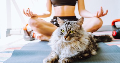 A négy leghatékonyabb légzőgyakorlat a stressz kezelésére