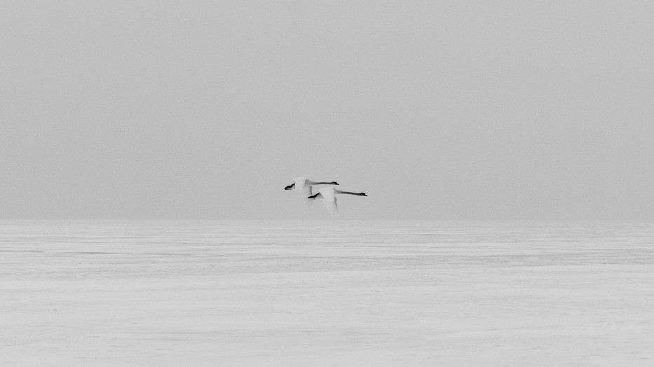 Magyar tájak, ahogy még sosem láttad őket: Ismerd meg Herczeg Kinga fotóst
