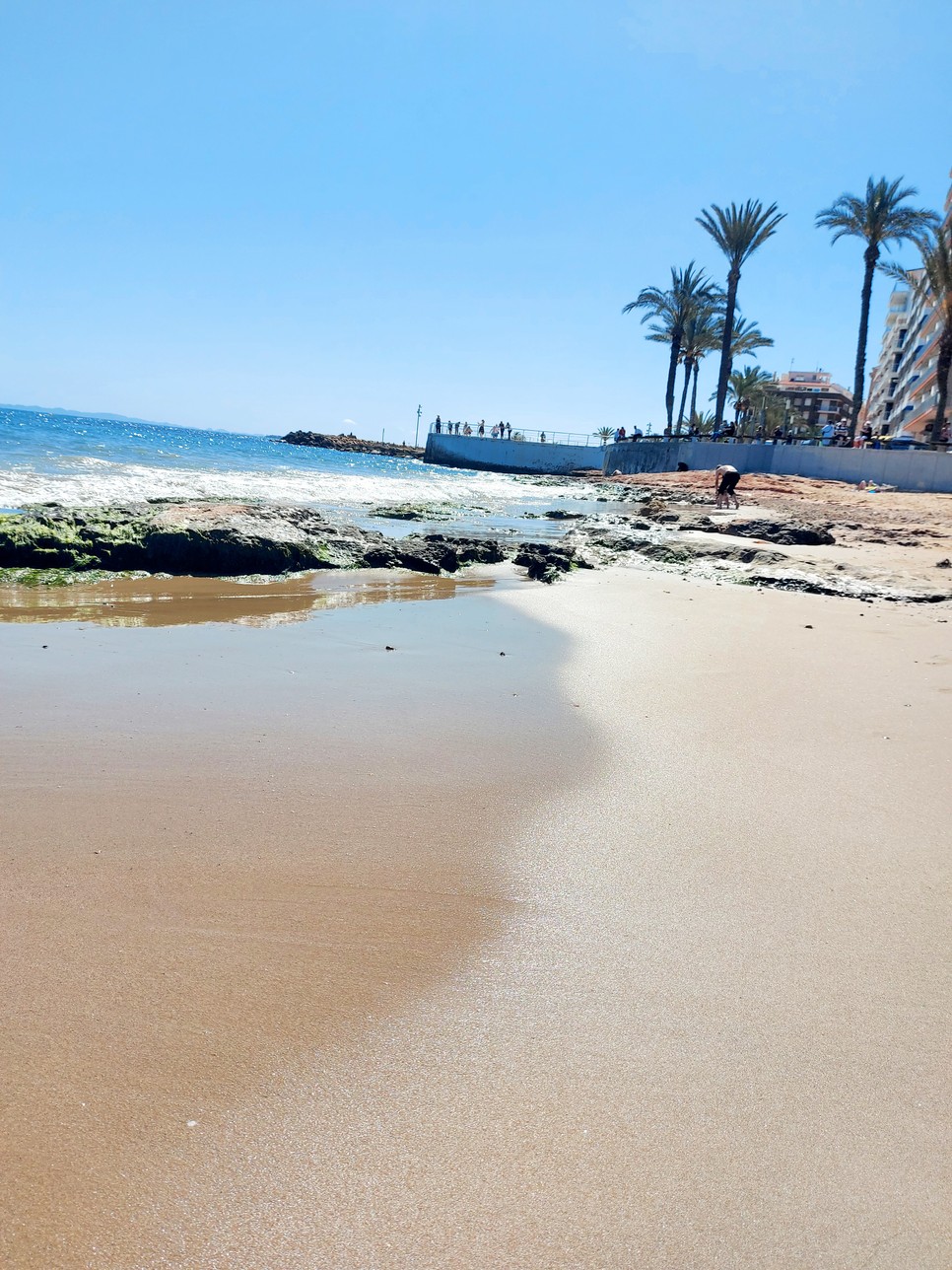 Homokos tengerpart, pálmafák, igen, ez Spanyolország, amit Fekete Judit szerint egyszer mindenkinek látnia kell