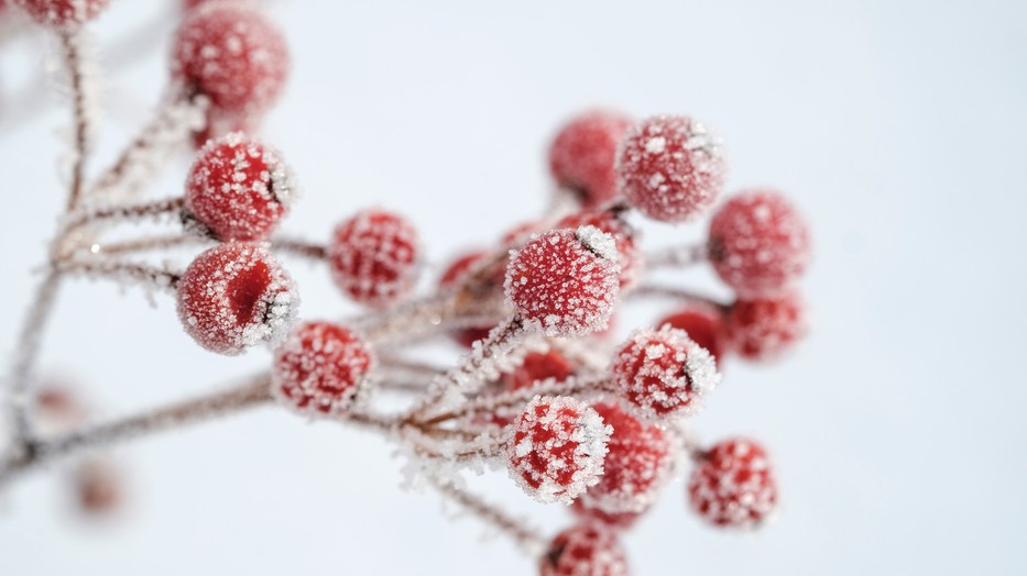 Háromszor kevesebb a fagyos napok száma az elmúlt 120 évben Magyarországon a klímaváltozás miatt