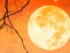 Kék szuperhold ragyogja ma be az eget: radikális változásokat hozhat életünkbe