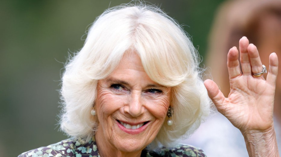 Kamilla királyné gyönyörűen festett a ruhájában