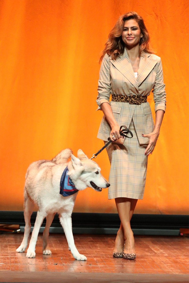 Eva Mendes kutya