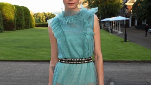 Cara Delevingne áttetsző ruhában védi az elefántokat