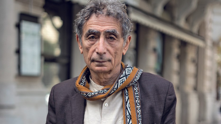   Dr. Máté Gábor a több évtizedes praktizálása alatt nem csak az egyéni panaszokra és problémákra fókuszált, hanem a generációs mintákra is felfigyelt