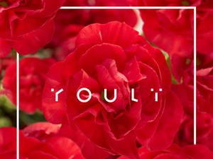 Megjelent Horányi Juli új lemeze!