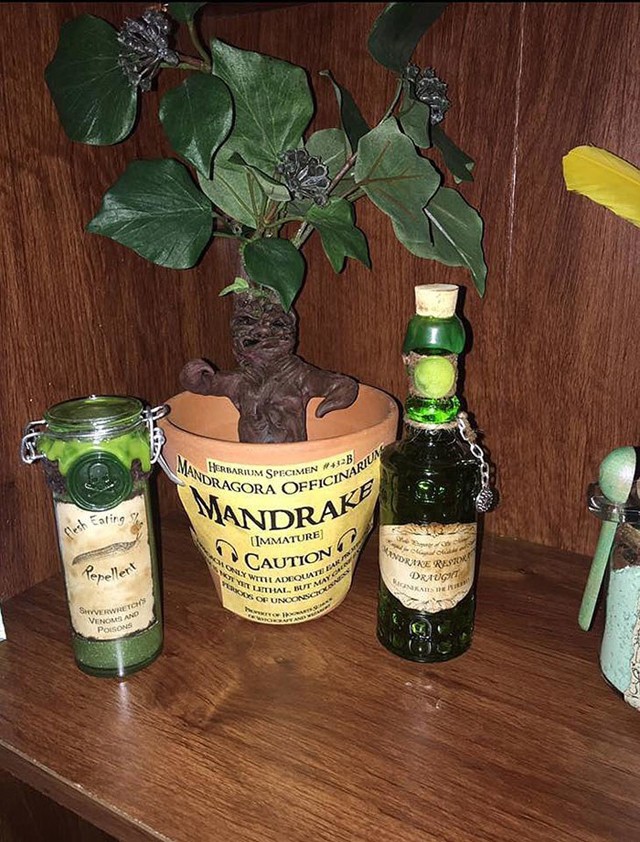 Csak puszta óvatosságból, ha Carlisle-nak egyszer véletlenül szüksége lenne Húsevőcsiga elleni szerre. 