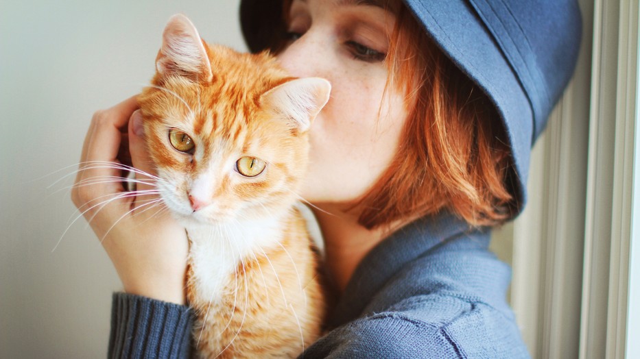 Az idősebb macskák is többet nyávoghatnak