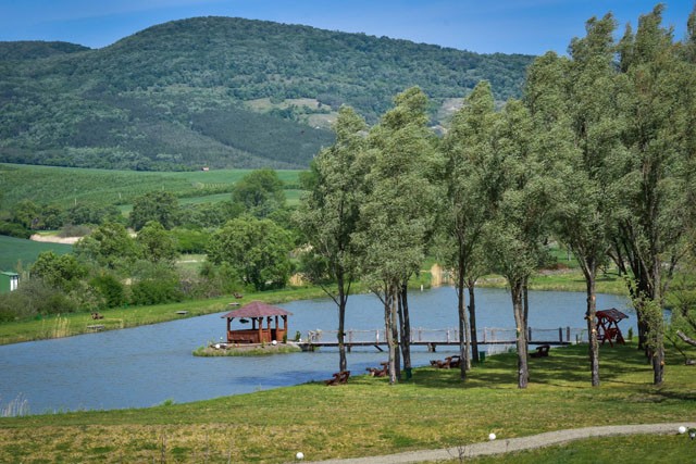 Legszebb őszi esküvői helyszínek: mesébe illő helyek Magyarországon