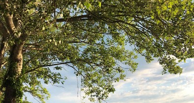 Csak az út számít: Szubjektív szemelvények egy Balaton körüli teljesítménytúráról - 210 kilométer 7 nap alatt, 3. rész