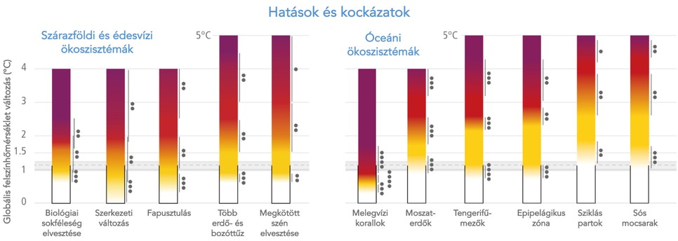 A globális klímaváltozás hatásai a szárazföldi és óceáni élővilágra különböző szintű felmelegedés esetén: minél magasabb a földi átlaghőmérséklet (függőleges tengely), annál drasztikusabbak a változások, a sötét lila színek már visszafordíthatatlan károsodást jelölnek (Forrás: IPCC AR6 WGII, fordítás: a szerző)