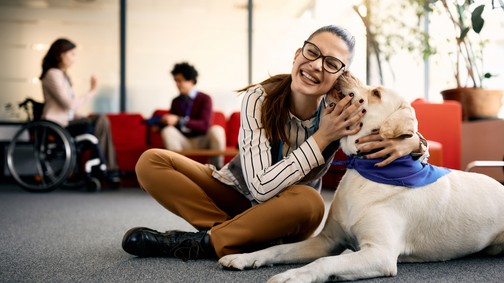 Egy simogatás, ami gyógyít: ezért varázslatosak a terápiás kutyák
