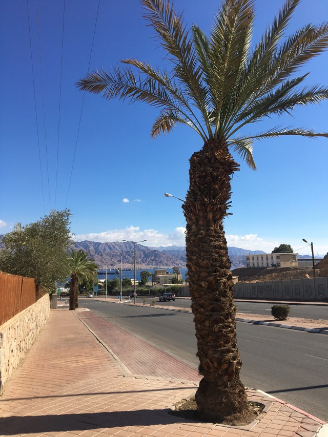 7 dolog, amit tudnod kell, ha Izraelbe utazol