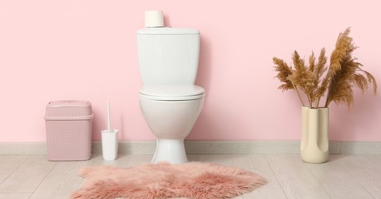 A nagymamáink tudták: ezért nem szabad soha nyitva hagyni a WC-ülőkét éjszakára