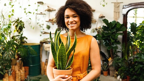 Kvíz: te képes lennél életben tartani egy növényt? 10 kérdés és kiderül