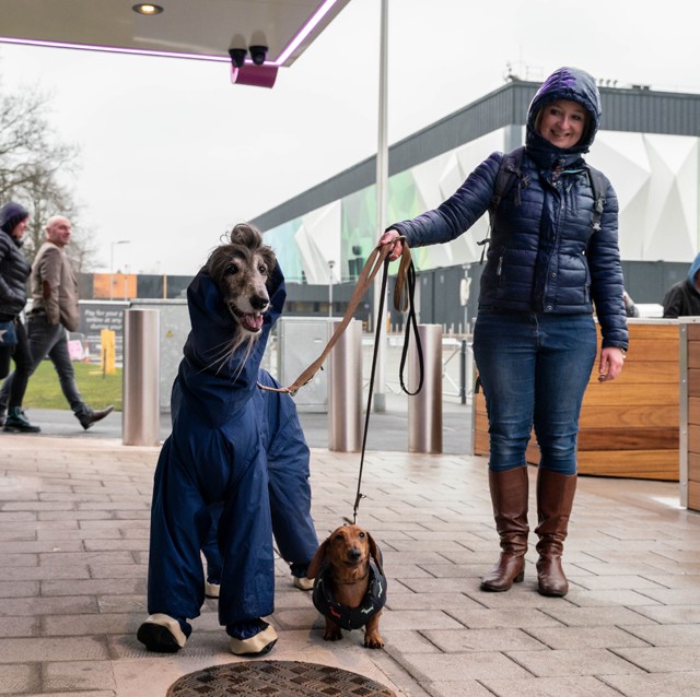 Ha azt gondoltad, kutya divat nem létezik, tévedtél
