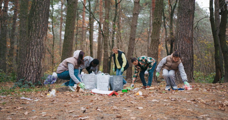 A Profession.hu felmérése alapján a legtöbben könnyű fizikai munkával segítenének jó ügyekért