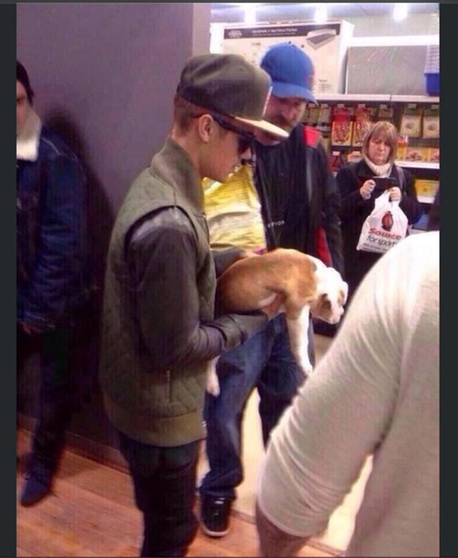 Justin Bieber mindent megtesz a rajongókért. Új kedvence nevét is teljes mértékbe rájuk bízta. Így a kutyus végül a Karma Bieber nevet kapta. A rajongók azt is megjegyezték, hogy remélik jobb sorsa lesz a kis buldognak, mint Bieber előző háziállatának, egy majomnak. A majmot ugyanis Justin elhagyta valahol. 