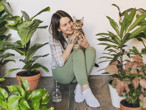 Tanuld meg kijelölni a saját határaidat a feng shui segítségével