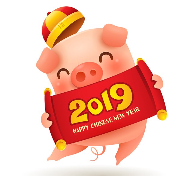 Változás, új lehetőségek - Minden, amit tudnod kell a DISZNÓ évéről