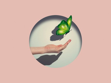 Te be mersz menni egy szexshopba? Nekem így zajlott az első látogatásom