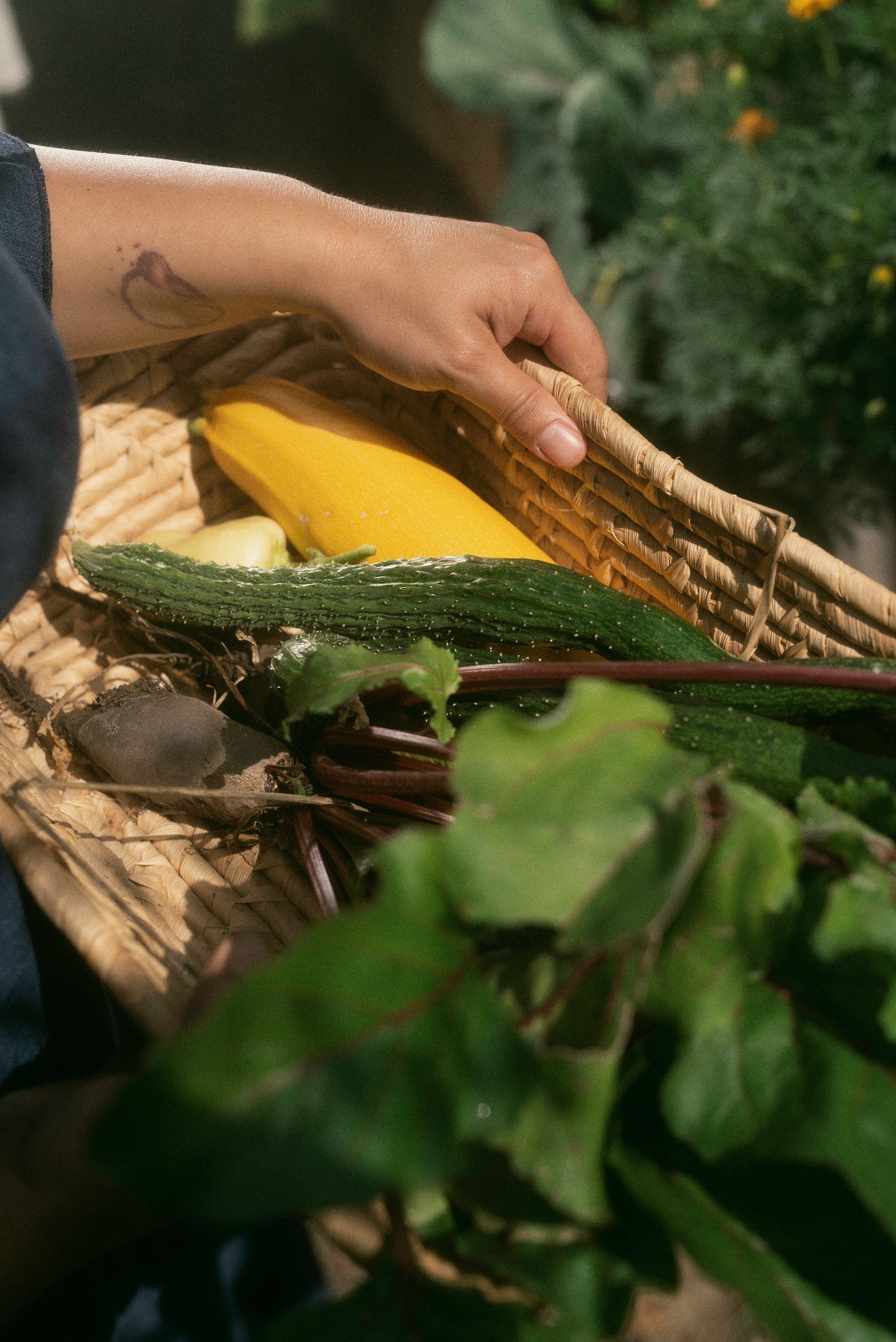 Frissen szedett zöldségek kertből.