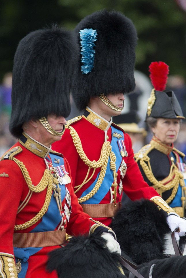 Károly és Vilmos herceg, illetve Anna hercegnő