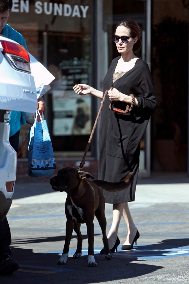 Angelina Jolie kutyasétáltatás