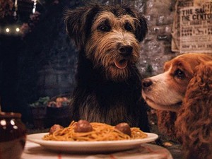 Erre az állatra hasonlítasz a horoszkópod szerint