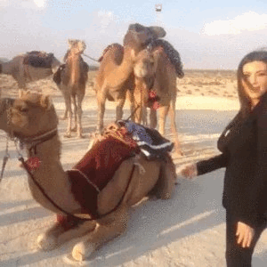 Elég a cikiből! Ez a 6 nadrág tuti tevepata-biztos