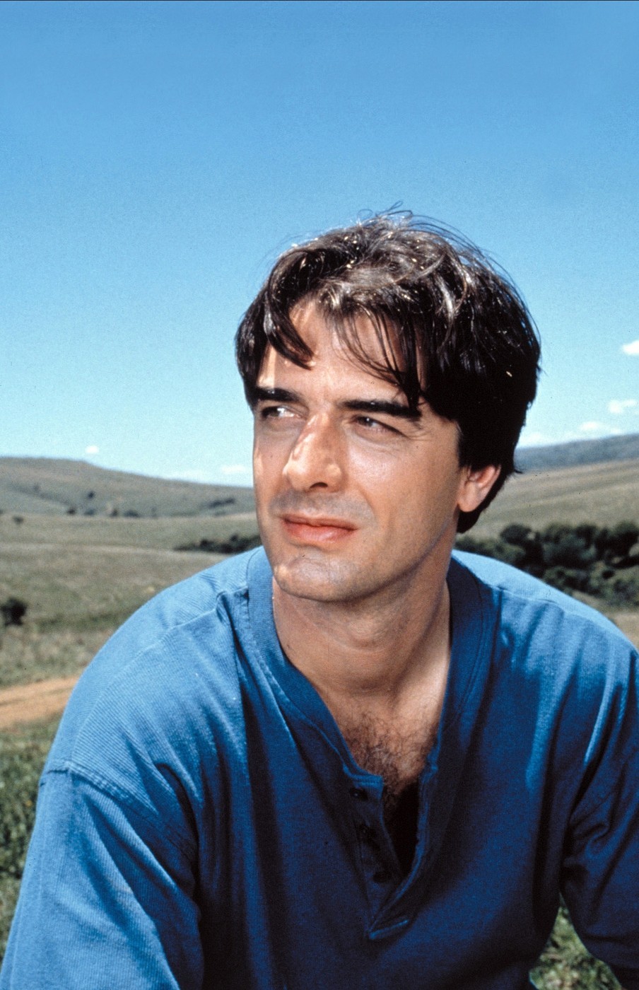 1996-ban a Szabadnak született: Az új kaland című filmben tűnt fel, nem sokkal később pedig már el is kezdte forgatni az ikonikus Szex és New York sorozatot, melynek köszönhetően az egész világ megismerte.  