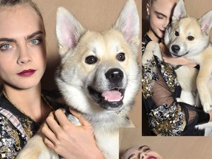 A topmodell cuki kölyökkutyája érdekesebb volt, mint a Chanel ruhák