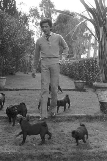 Valentino Garavani római villája udvarán, ahol kutyáival élt (1978)