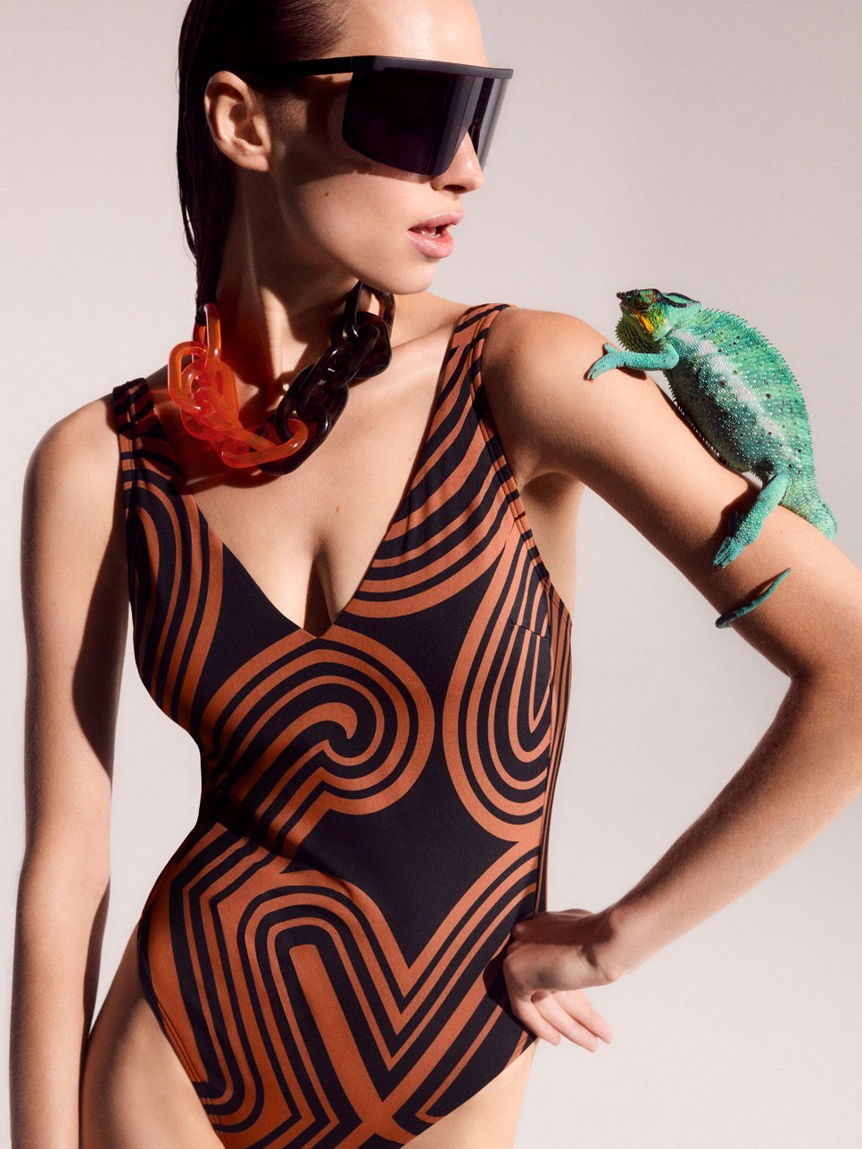 Triumph / Fotó: EuropeFlexSmartSummer