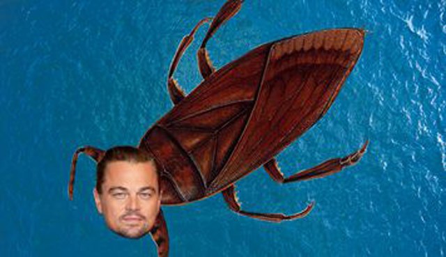 Leonardo DiCaprio