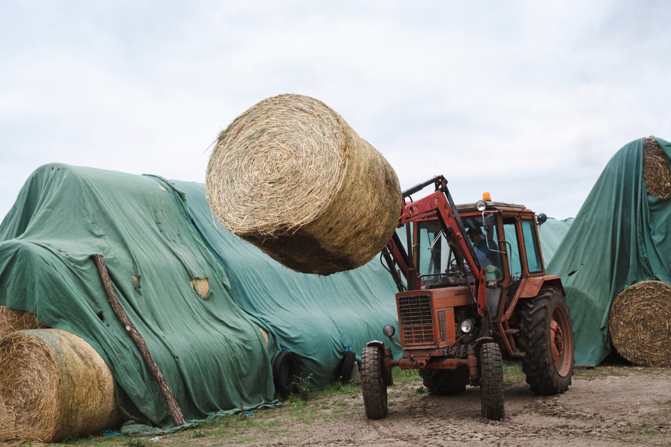 „Ennyi állat egy nap alatt megeszik hét bála takarmányt, ami száz ezer forint körül mozog, ennek egy hónapra nagyon nagy költsége van.” - mondja János.